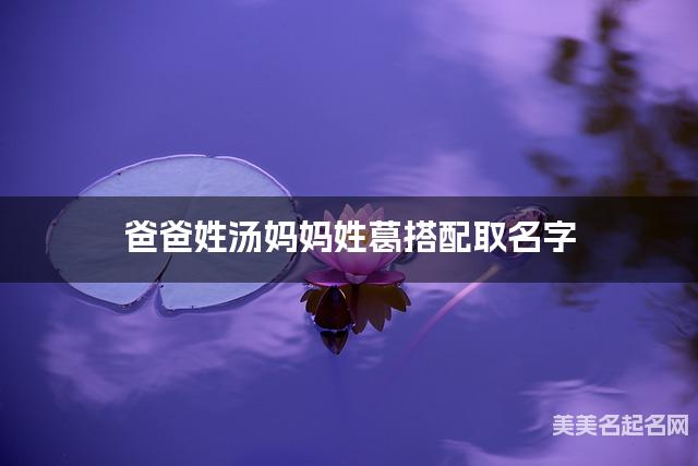 爸爸姓汤妈妈姓葛搭配取名字
