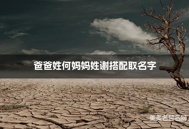 将何姓和谢姓结合取名字，好听有气质的男生名字推荐