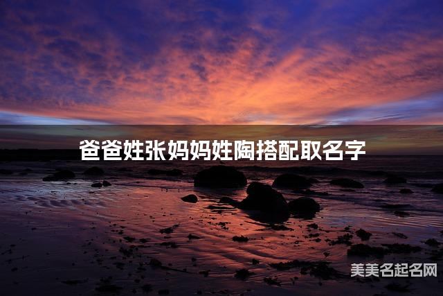 把张姓和陶姓结合取宝宝名字方案参考