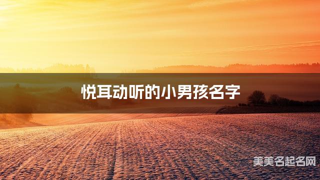 悦耳动听的小男孩名字（292个最新）