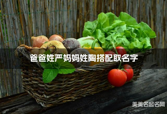 爸爸姓严妈妈姓陶搭配取名字