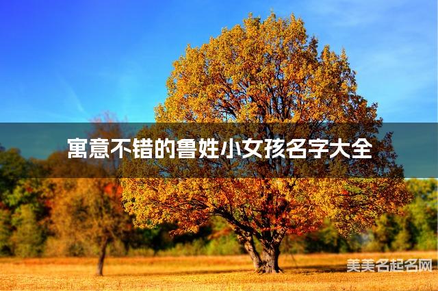 寓意不錯的魯姓小女孩名字大全