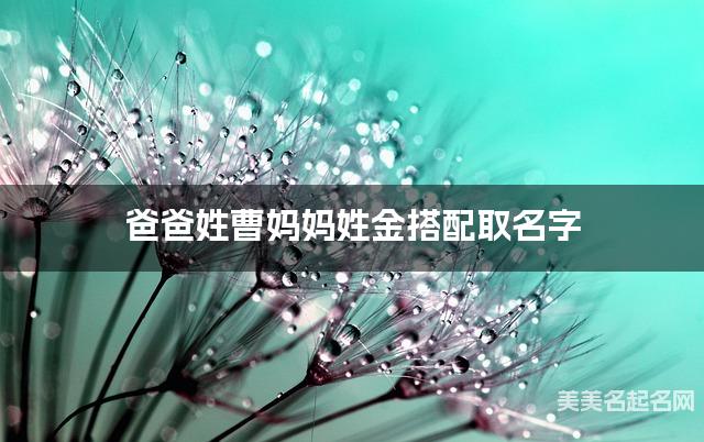 爸爸姓曹妈妈姓金取名字 男宝宝儒雅诗意的名字