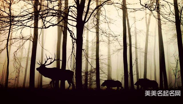 免费取名网：清新脱俗的男宝名字大全