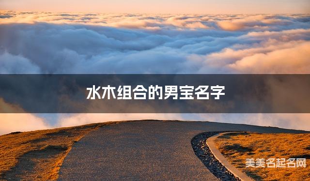 水木组合的男宝名字 男宝简单干净好听的名字