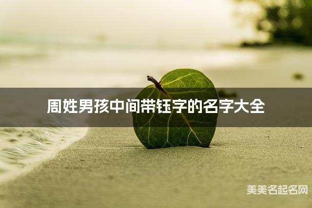 周姓男孩中间带钰字的名字大全