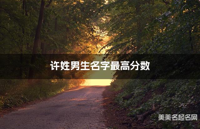 宝宝取名字大全 许姓男生名字最高分数