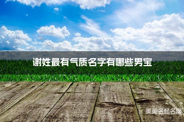 谢姓最有气质名字有哪些男宝