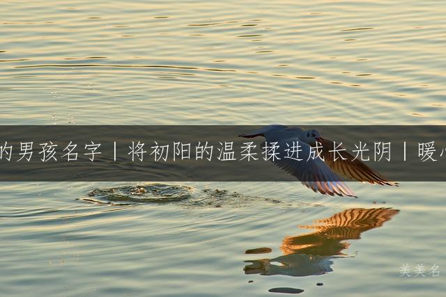 自带治愈光环的男孩名字｜将初阳的温柔揉进成长光阴｜暖心起名宝藏清单