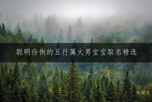 聪明伶俐的五行属火男宝宝取名精选