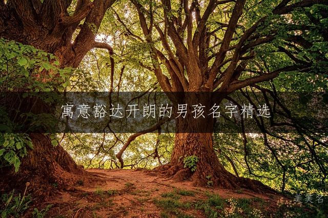 寓意豁达开朗的男孩名字精选：200个彰显阳光气度的洒脱好名