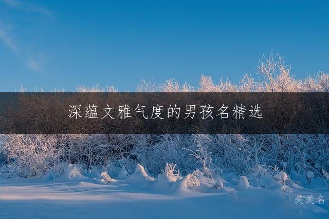 深蕴文雅气度的男孩名精选：儒雅大方不失格调的起名灵感集