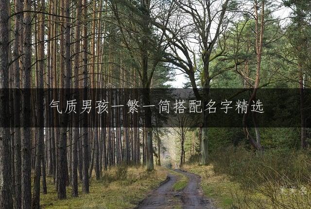 气质男孩一繁一简搭配名字精选