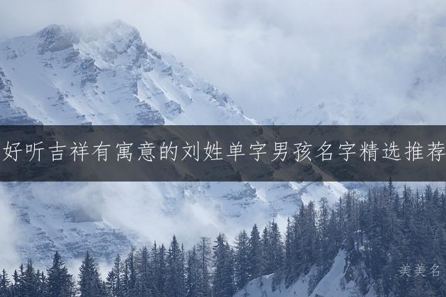 好听吉祥有寓意的刘姓单字男孩名字精选推荐