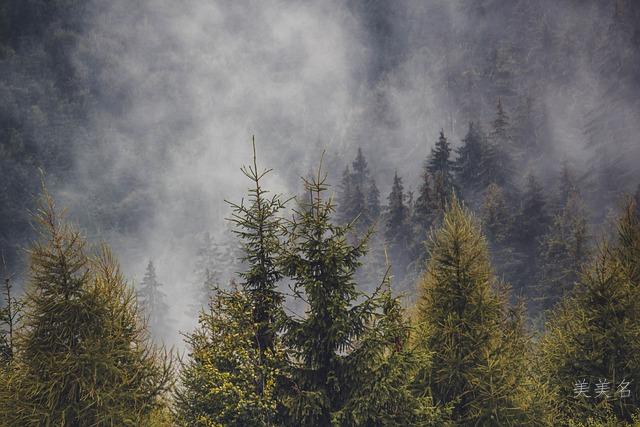 宝宝起名|描绘清澈、灵动的男孩名字推荐