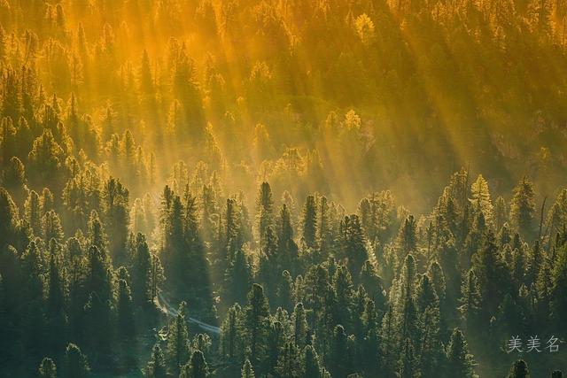 评字在后的男孩名字大全