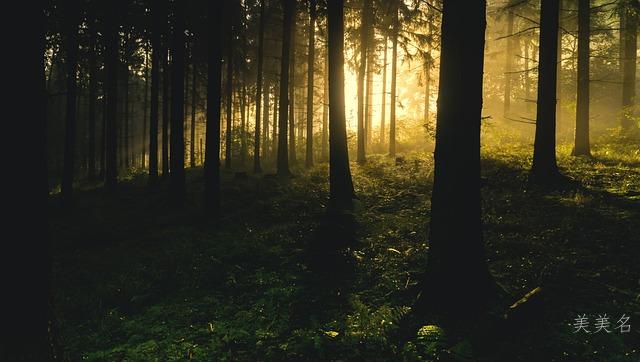 笔画少的邓姓男孩三个字名字