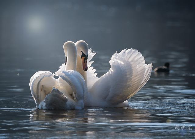 带舟字大气有涵养聪慧灵动的男孩名字推荐 吉祥福运扬帆起航的宝宝起名精选