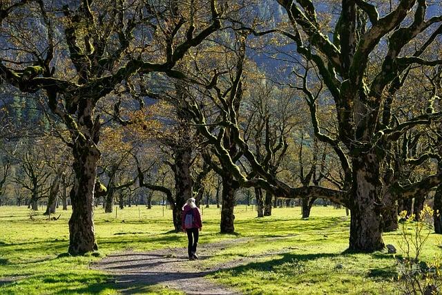 繁简搭配招财男孩名字精选