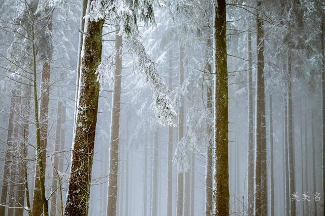 悦耳动听的五行双金组合男孩名字精选