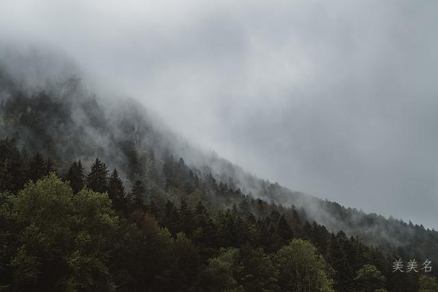宝宝取名|聪明灵动的男孩名字推荐
