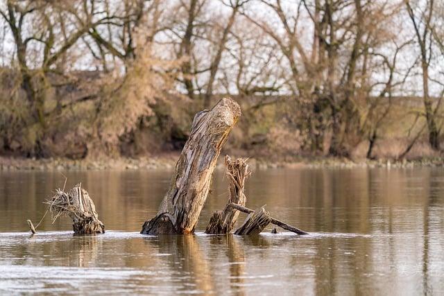 宝宝取名|热情洋溢的男孩名字推荐