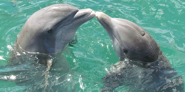 男生笔画少有财运的两个字名字