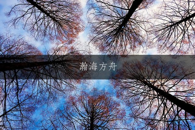 瀚海方舟，赵姓带舟字的男孩名字