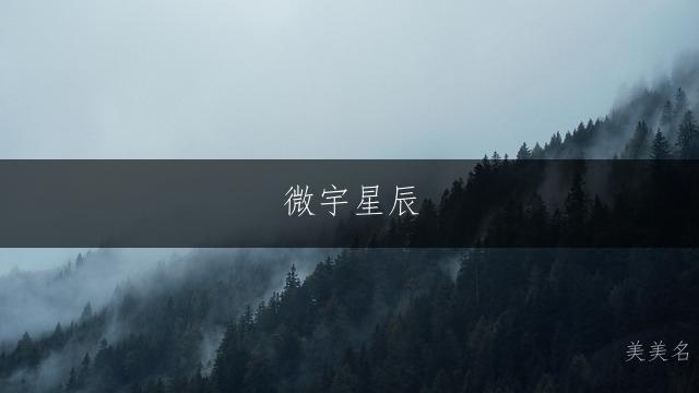 微宇星辰，少年的凌云之名；微字藏锋，男孩的大气之选