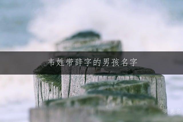 韦姓带辞字的男孩名字