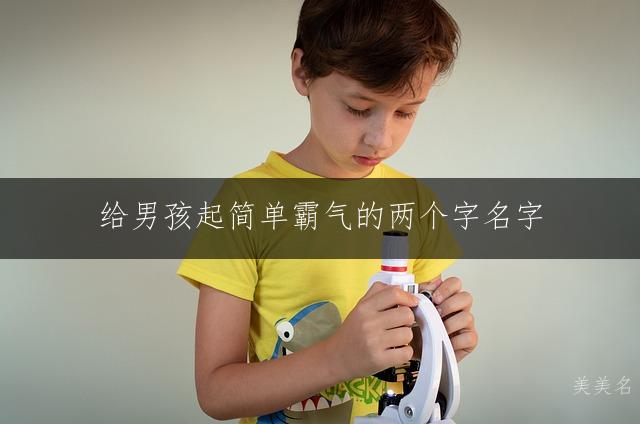 给男孩起简单霸气的两个字名字