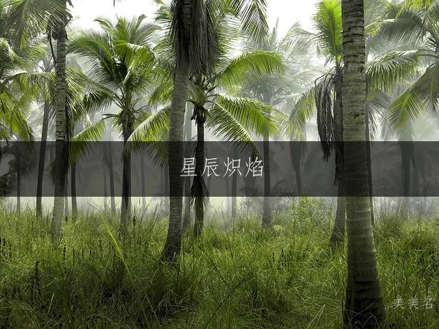 星辰炽焰，五行带火的男孩名字