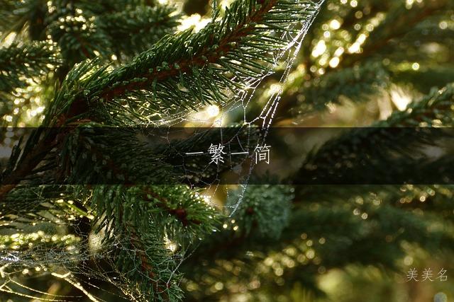 一繁一简，藏纳财运的男孩名字