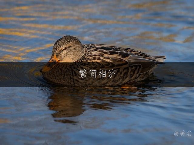 繁简相济，气质不凡的男孩名字