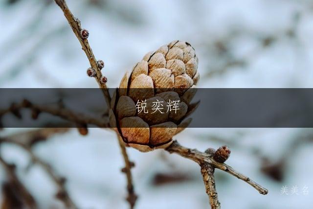 锐奕辉,五行金火组合的男孩名字