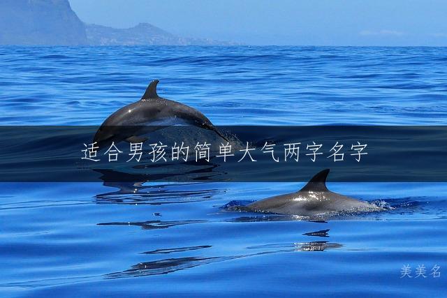 适合男孩的简单大气两字名字