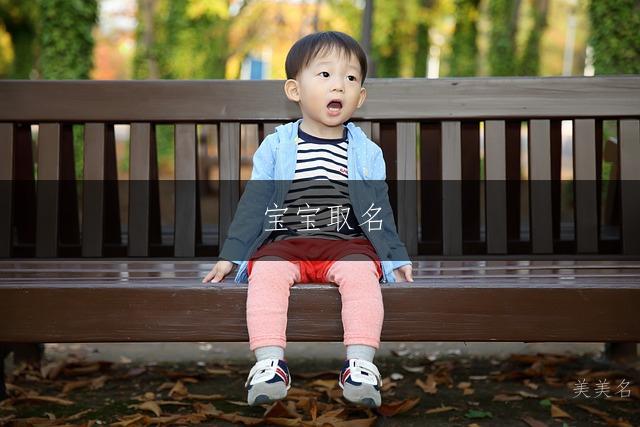 宝宝取名|突出坚韧、孤傲、在逆境中绽放的男孩名字推荐