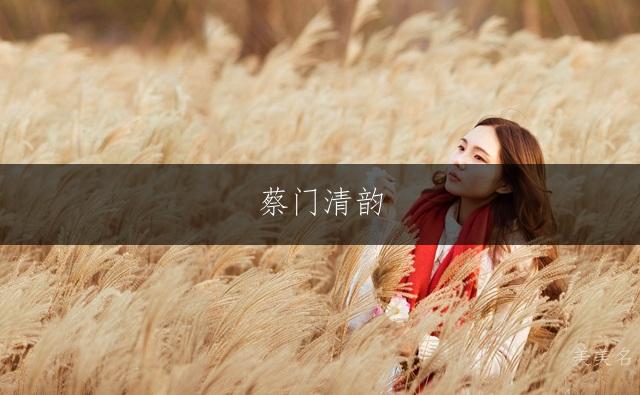 蔡门清韵，灵动雅致的三字芳名