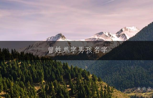 曾姓单字男孩名字：大气简约的经典之选