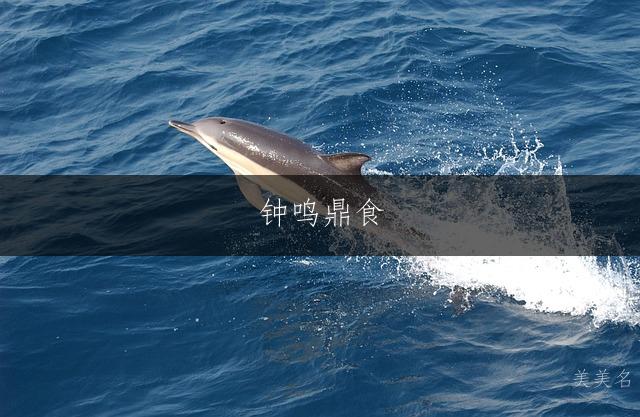 钟鸣鼎食，钟姓的男孩单字雅韵名字