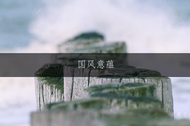 国风意蕴，魏姓的男孩单字好名字