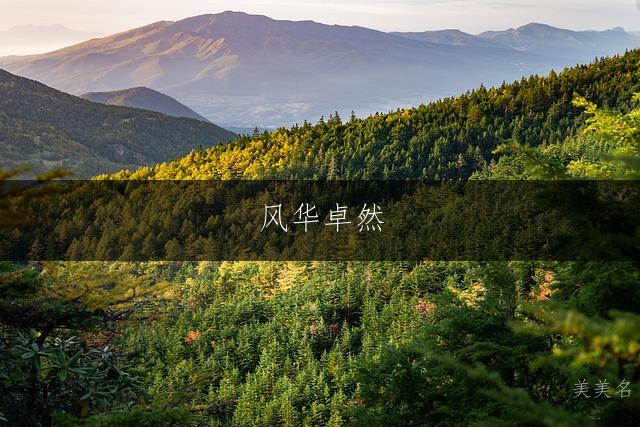 风华卓然，五行带木的男孩名字