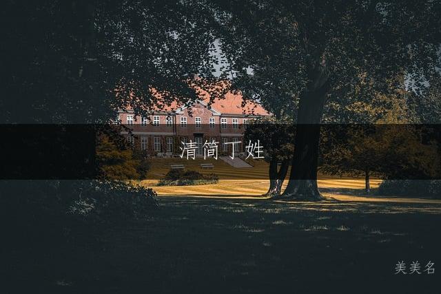 清简丁姓，男孩三字佳名；