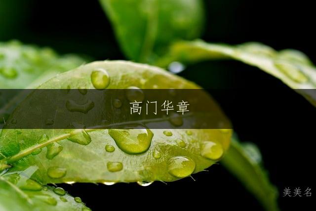 高门华章，光耀九州的高姓单字男孩名字