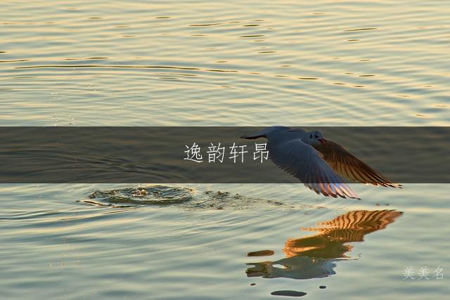 逸韵轩昂，带衣字旁的男孩名字