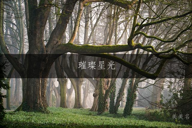 璀璨星光，五行带金的男孩名字