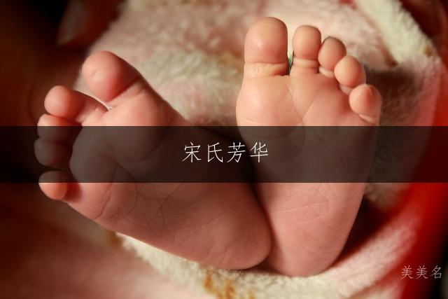 宋氏芳华，温润雅致的宋姓单字女孩名字