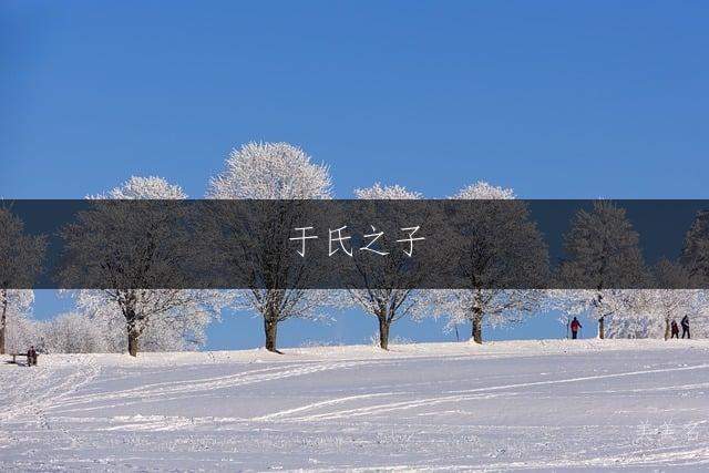 于氏之子,带域字的大气男孩名字