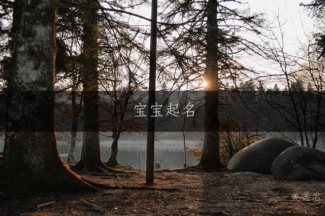 寶寶起名|寓意堅靭不拔的男孩名字推薦