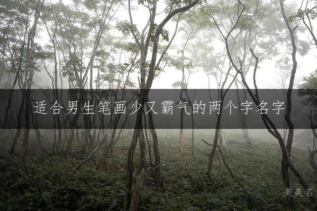 适合男生笔画少又霸气的两个字名字